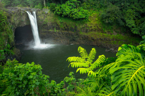 istock Rainbow Falls on Big Island Hawaii, USA 1198215307