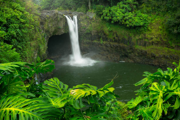 istock Rainbow Falls on Big Island Hawaii, USA 1198215320