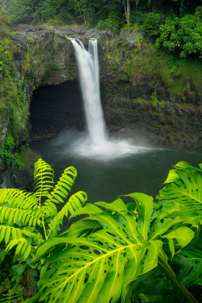 istock Rainbow Falls on Big Island Hawaii, USA 1198215327
