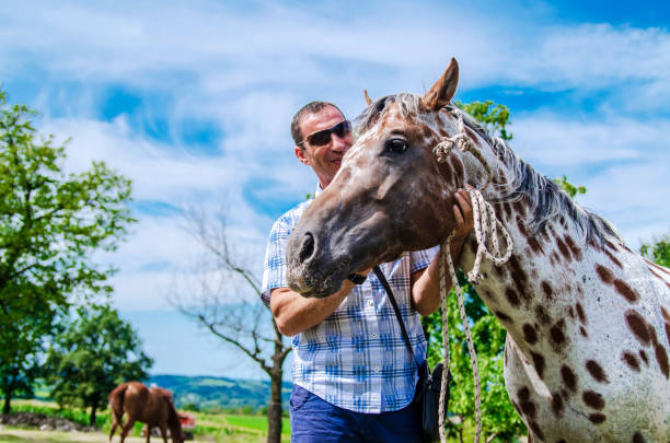 Preparing a horse for riding.Copy space