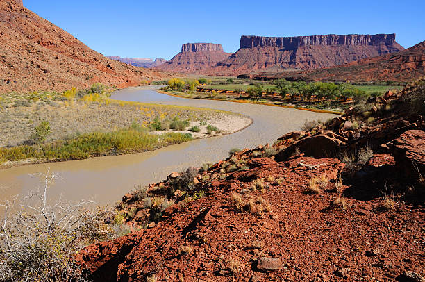istock Meander in Colorado River near Desert Resort 119821837