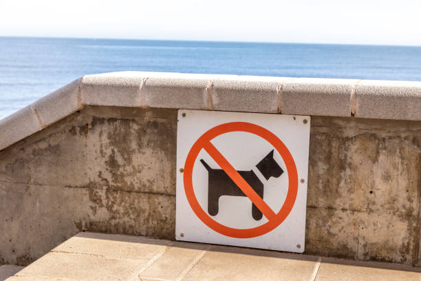 istock No dogs allowed sign in a beach in l'Escala (Girona, Catalonia, Spain). 1198219165