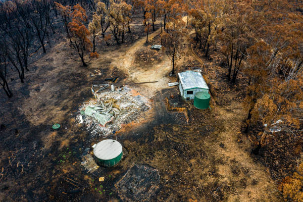 ブッシュ火災破壊 - ブルーマウンテン国立公園 写真 ストックフォトと画像
