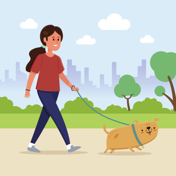 Woman walking dog in the park vector art illustration
