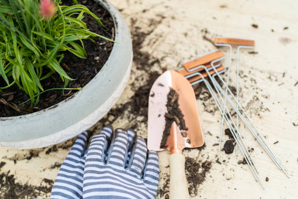 istock Planting flowers into small planting pots in late Spring. 1198227146