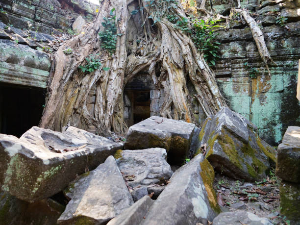 istock Ancient stone ruin and tree root at Ta Prohm Temple in Angkor wat complex, Siem Reap Cambodia. 1198229063