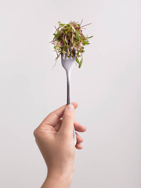 istock Woman holding fork with micro green over white 1198229972