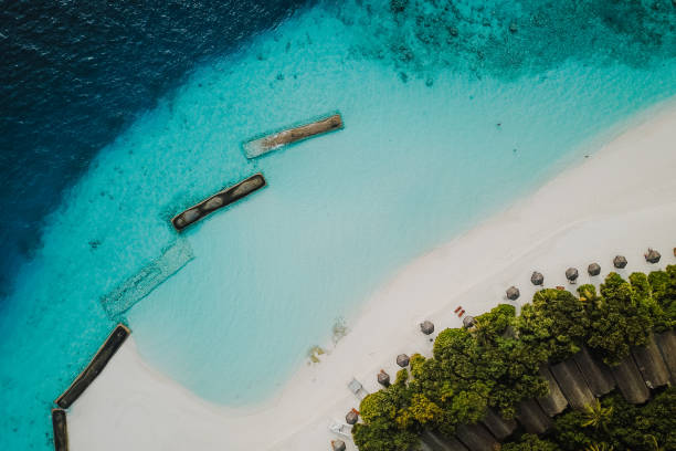 istock Beach on Maldives Island 1198231354