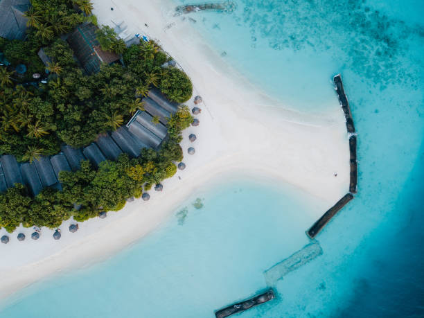 istock Beach on Maldives Island 1198231450