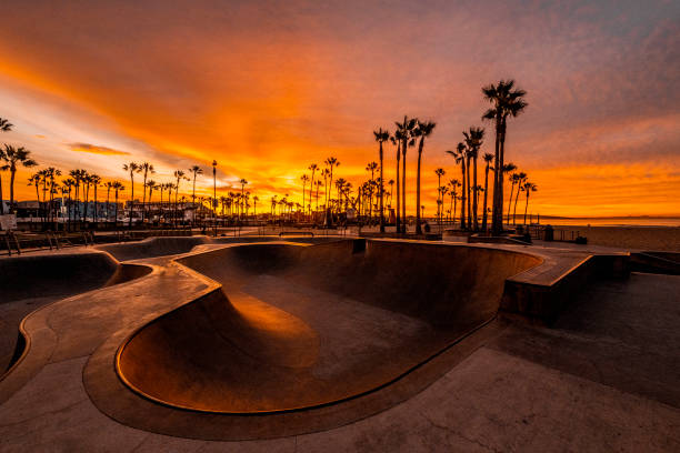 lo skate park di venice beach girato all'ora d'oro, los angeles, california - los angeles county city of los angeles palm tree travel destinations foto e immagini stock