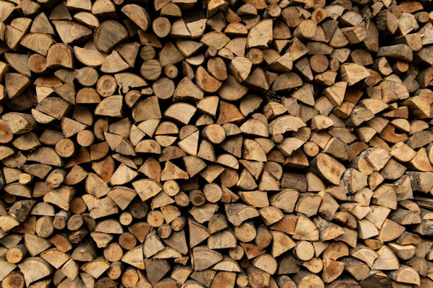 istock fire wood environmental type of fuel rural textured background object 1198236666