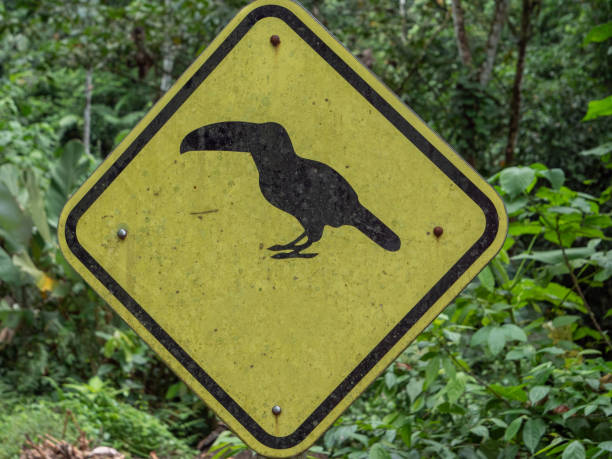 istock Slow down Toucan crossing sign, Costa Rica 1198238822