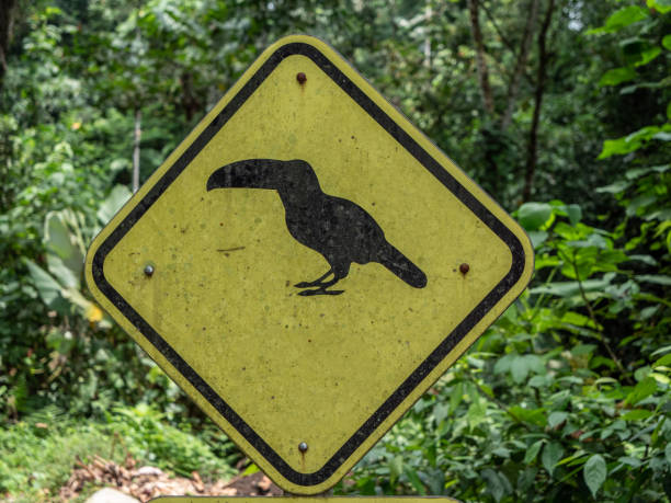 istock Slow down Toucan crossing sign, Costa Rica 1198240015