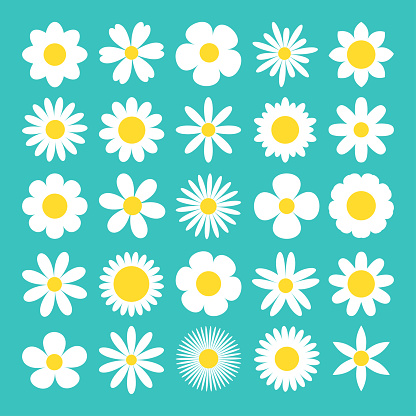 Camomile big set. White daisy chamomile icon. Cute round flower plant nature collection. Love card symbol. Growing concept. Decoration element. Flat design. Green background. Isolated. Vector