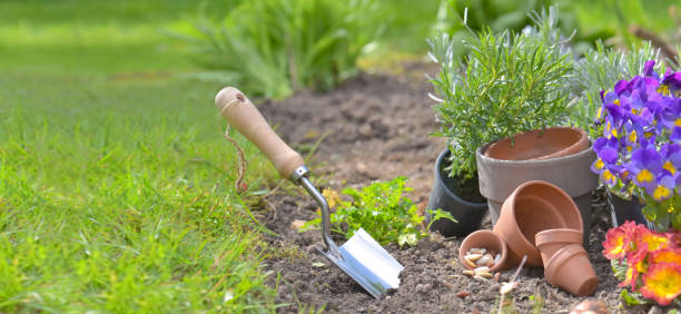 shovel planting in the soil next to teracotta pots and flowers with copy space in grass shovel planted in the soil of a garden next to teracotta pots and flowers with copy space in grass background trowel gardening shovel gardening equipment stock pictures, royalty-free photos & images