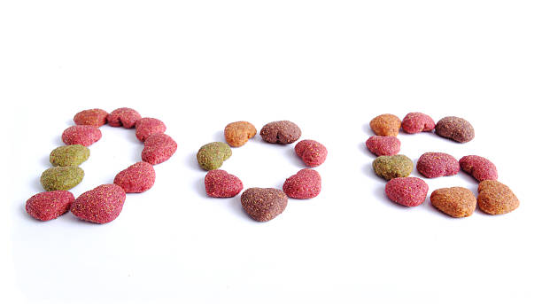 istock Word DOG from pet`s food. 119824387