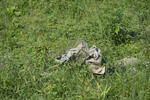 istock Ripped rug, plastic crate and other garbage on the lawn 1198244935