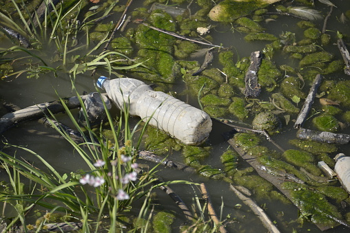 Plastic bottles an other various garbage in the sludge water near the riverbank