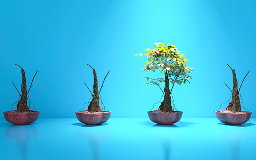Standing Out From The Crowd with Plant. (3d render)