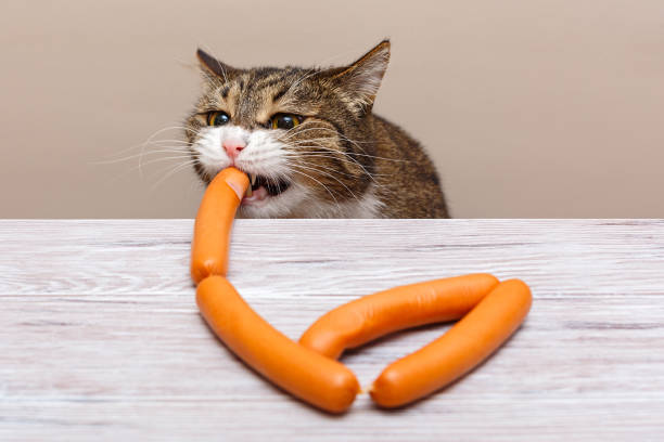 istock Grey cat steals sausages 1198249935
