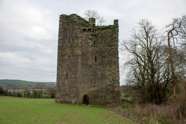 istock Clodah or Clodagh Castle County Cork Ireland 1198251179