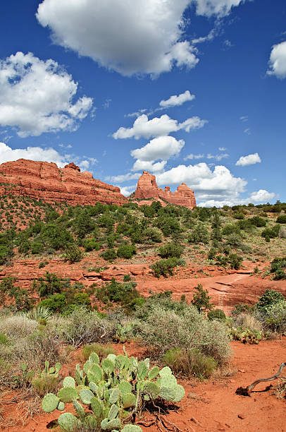 istock red sandstone landscape sedona 119825179