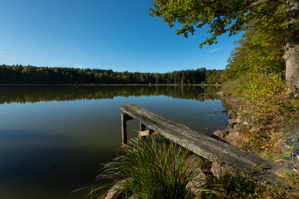 istock Fishing pond near Gmuend in Austria 1198252905