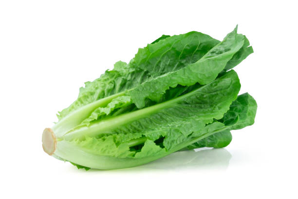 istock Fresh green Lettuce leaves, Salad leaf isolated on white background. with clipping path. 1198255076
