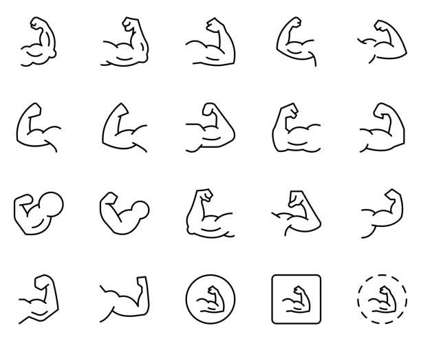 ilustraciones, imágenes clip art, dibujos animados e iconos de stock de icono de línea médica - flexing muscles