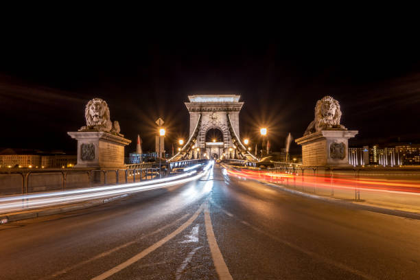 цепной мост и королевский дворец ночью, будапешт, венгрия - chain bridge budapest bridge lion стоковые фото и изображения