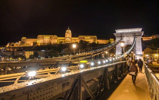 touristes dans chain bridge et royal palace la nuit, budapest, hongrie - budapest chain bridge night hungary photos et images de collection