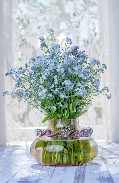 istock forget-me-not vase window tulle 1198258837