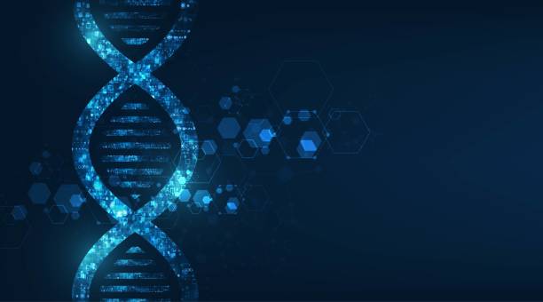 abstract technology science concept, DNA code structure with glow. abstract technology science concept, DNA code structure with glow. dna stock illustrations
