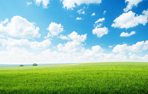 istock green field and sunny day 119826383