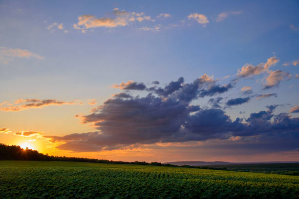istock Rural landscape in summer season, sunset evening sky. 1198265355
