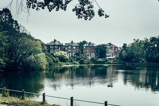 Highgate No 2 Pond in Hampstead Heath. This grassy public space sits astride a sandy ridge, one of the highest points in London, running from Hampstead to Highgate, which rests on a band of London Clay
