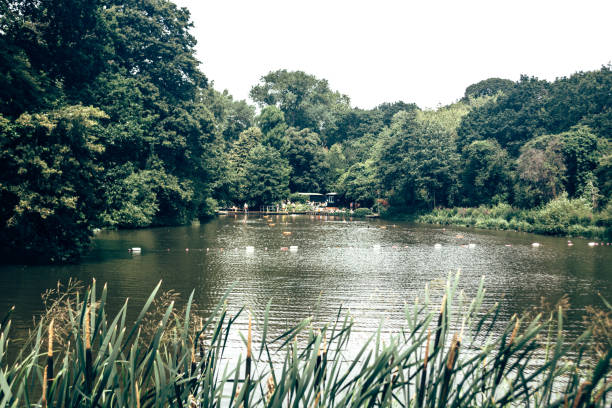 Highgate No 3 Pond in Hampstead Heath, London