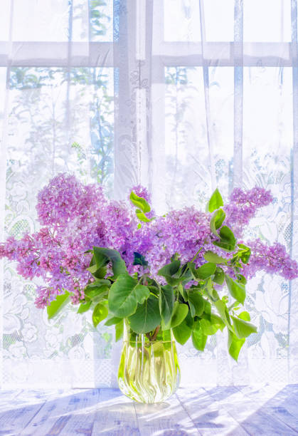 istock lilac flowers sunlight contour 1198272447