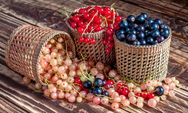 Three serving baskets with red, white, and black currant berries. Scattered on a wooden table. On a wooden background close-up.