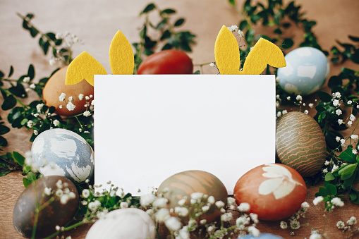 Happy Easter card mockup. Stylish easter eggs, yellow bunny ears in nest of spring flowers, and empty white card on rustic wooden table, space for text. Natural dyed easter eggs