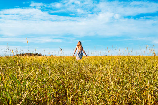 istock Young woman on a wheat field with sunlight 1198273844