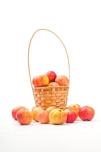 istock Wicker basket with fresh an apples on white background 1198274323