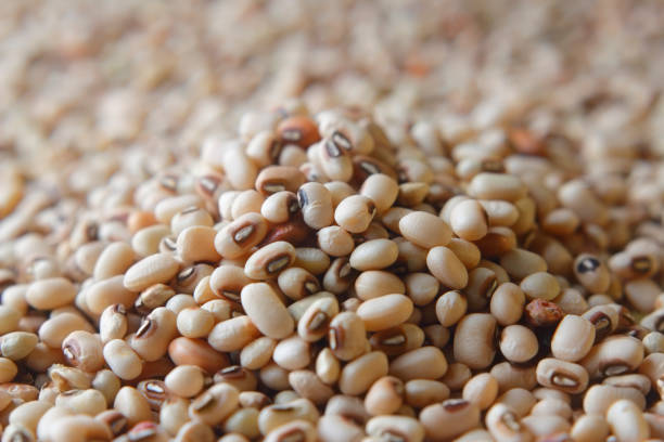 istock Black eyed peas seeds 1198275360