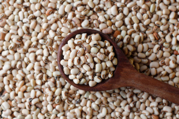 istock Black eyed peas seeds 1198275504