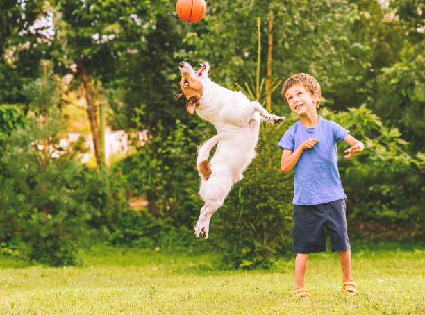 szczęśliwy dzieciak patrzący na skaczącego psa łapającego piłkę do koszykówki - puppy dog toy outdoors zdjęcia i obrazy z banku zdjęć