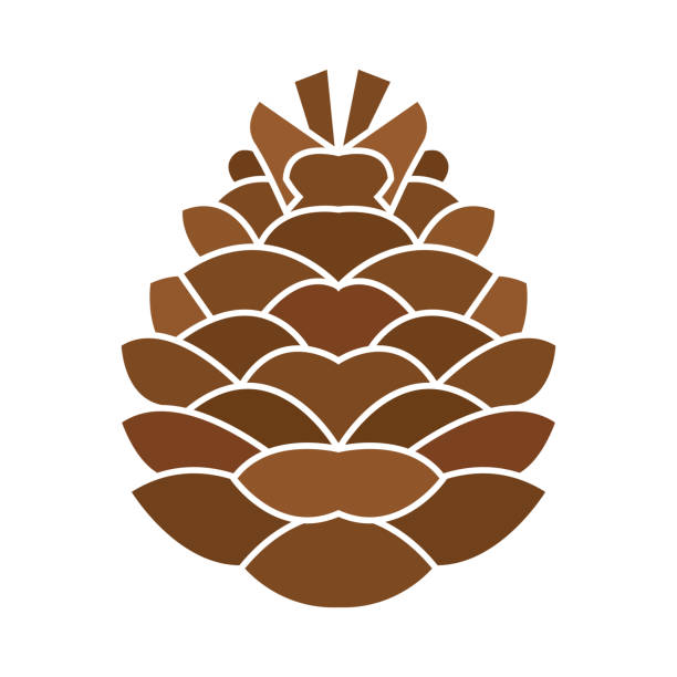 изолированный значок соснового конуса - pine cone stock illustrations
