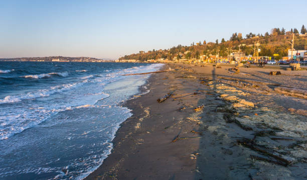 plaża windy alki 5 - alki beach zdjęcia i obrazy z banku zdjęć