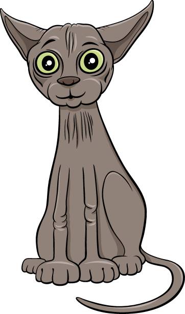 ilustrações de stock, clip art, desenhos animados e ícones de funny sphynx cat cartoon animal character - comic book animal pets kitten