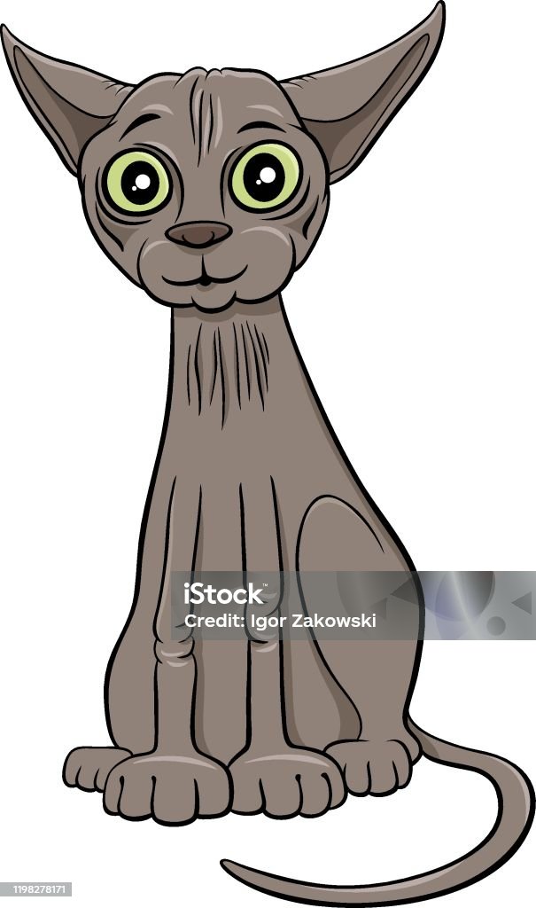 Funny Sphynx Cat Cartoon Animal Character Stock Illustration - Download  Image Now - Sphynx Hairless Cat, Gray Color, Cartoon - iStock