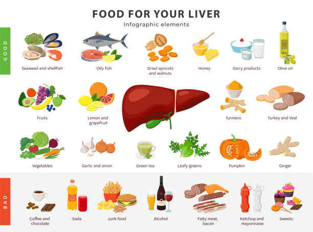 illustrations, cliparts, dessins animés et icônes de nourriture pour des éléments d'infographie de nourriture pour le foie d'isolement sur le fond blanc. aliments sains et malsains pour le foie humain et les icônes de santé de la vésicule biliaire dans la conception plate. - unhealthy eating